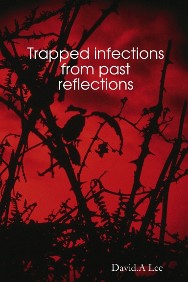 Trapped infections from past reflections