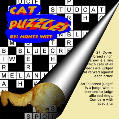 Cat Puzzles