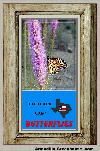 Book Of Butterflies (Texas), E-Book Version