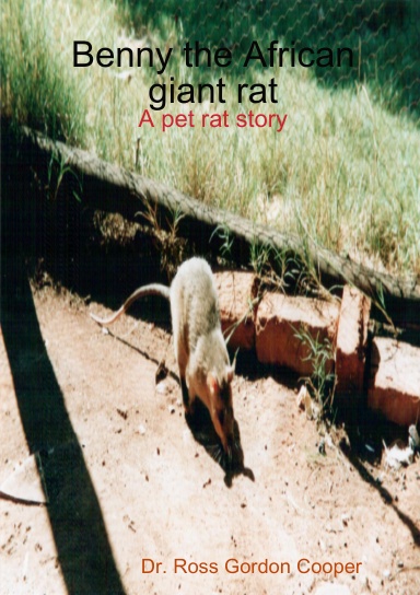 Benny the African giant rat
