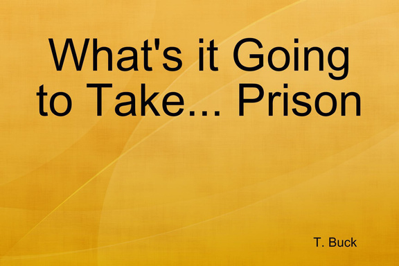 What's it Going to Take... Prison