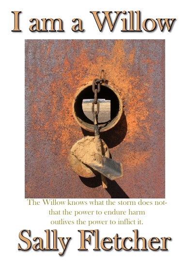 I am a Willow (Pbk)