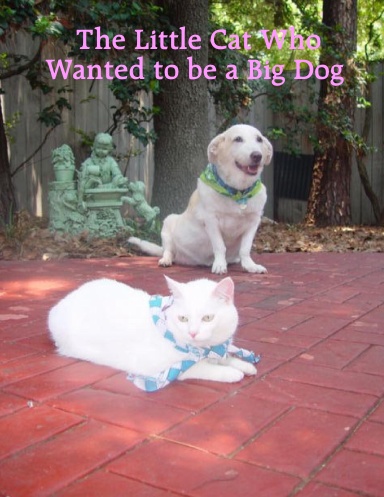 The Little Cat Who Wanted to be a Big Dog