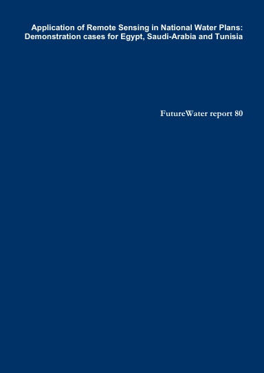 FutureWater report 80