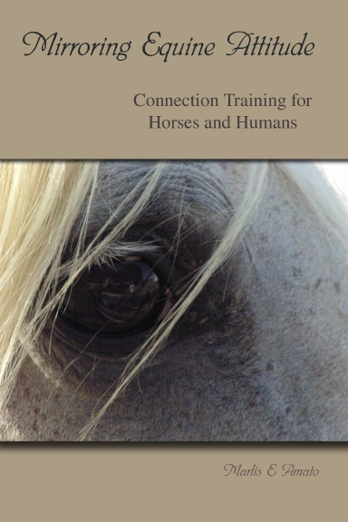 Mirroring Equine Attitude - Connection Training for Horses and Humans