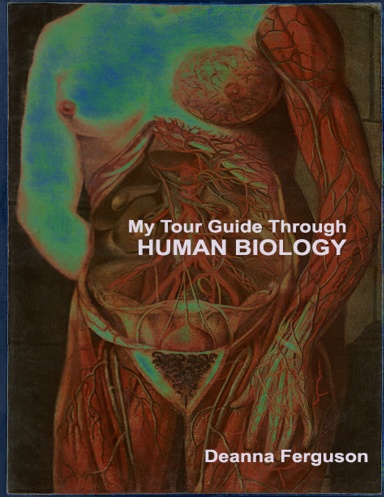 My Tour Guide Through Human Biology