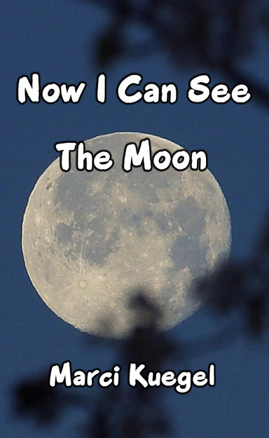 Now I Can See The Moon