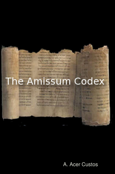 The Amissum Codex