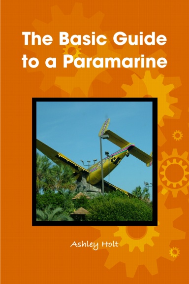 The Basic Guide to a Paramarine