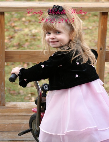 Emily Michelle Walker 2002-2005