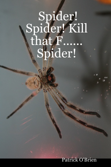 Spider! Spider! Kill that F...... Spider!