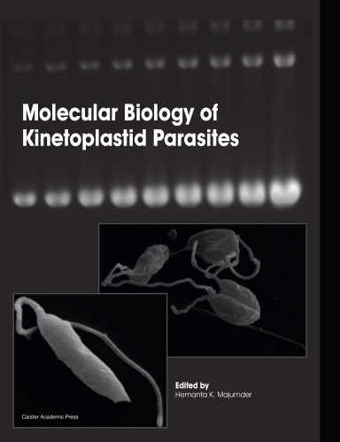 Molecular Biology of Kinetoplastid Parasites