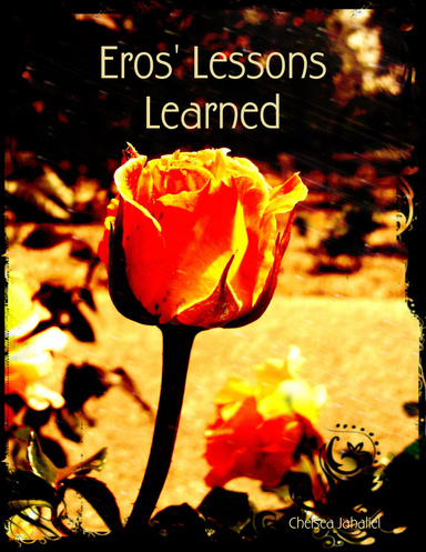 Eros' Lessons Learned
