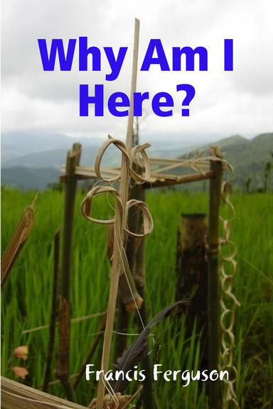 Why Am I Here?