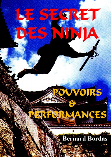 Le Secret des Ninja: Pouvoirs & Performances