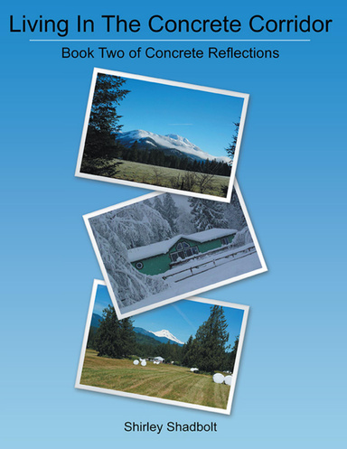 Living In the Concrete Corridor: Book Two of Concrete Reflections