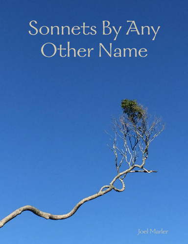 Sonnets By Any Other Name