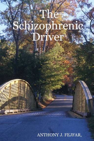 The Schizophrenic Driver