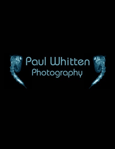 paul whitten photography