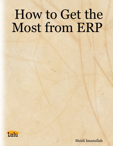 How to Get the Most from ERP