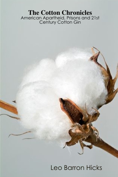 The Cotton Chronicles