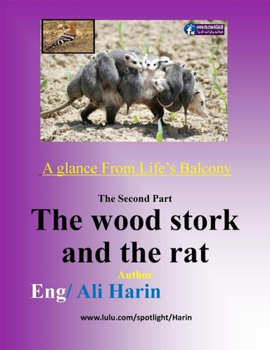 The wood stork and the rat