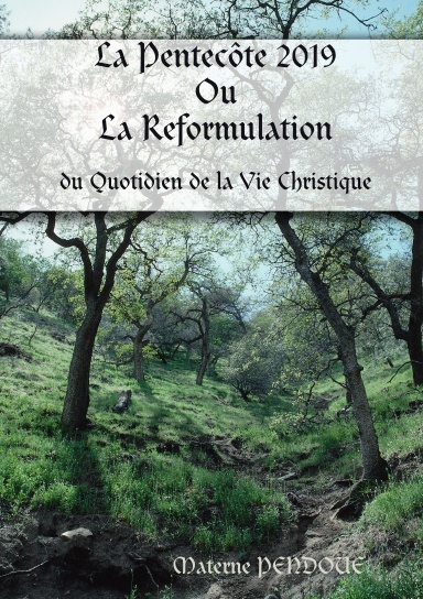 La pentecôte 2019 Ou La Reformulation du Quotidien de la Vie Christique
