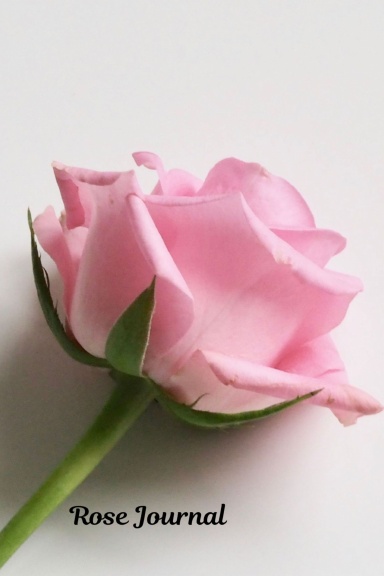 Rose Journal