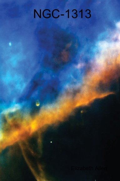 NGC-1313