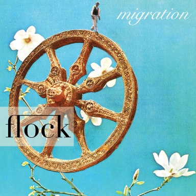Flock 19