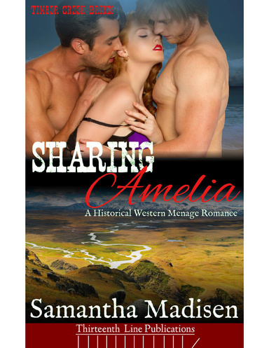 Sharing Amelia