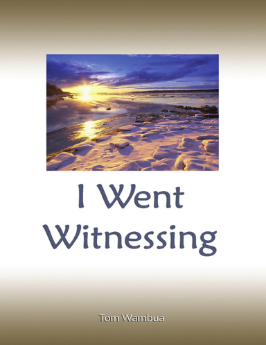 I Went Witnessing