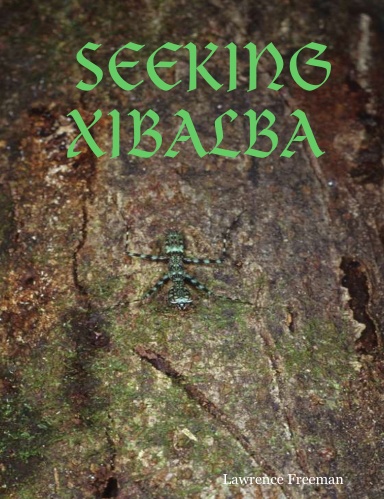 SEEKING XIBALBA