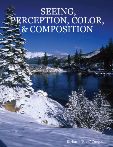 SEEING, PERCEPTION, COLOR, & COMPOSITION