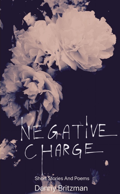 Negative Charge Revised