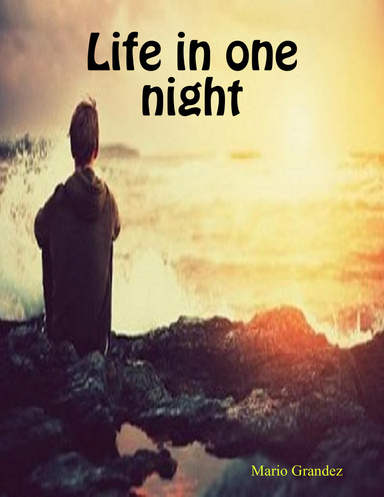 Life in one night