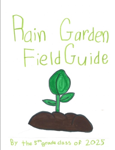 Rain Garden Field Guide