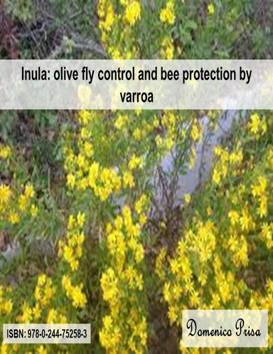 Inula: olive fly control and bee protection by varroa