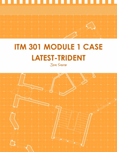 ITM 301 MODULE 1 CASE LATEST-TRIDENT