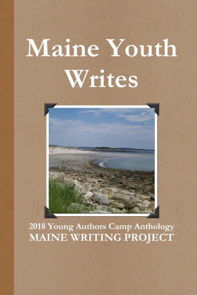 Maine Youth Writes
