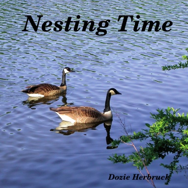 Nesting Time