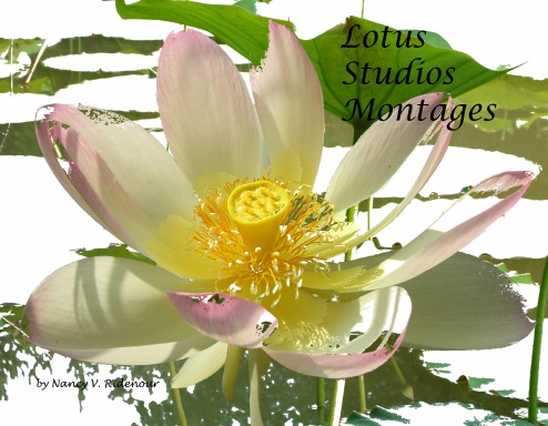 Lotus Studios Montages.12.10