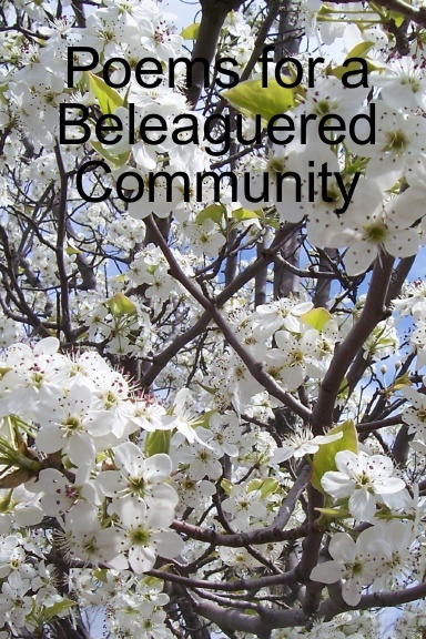 Poems for a Beleaguered Community