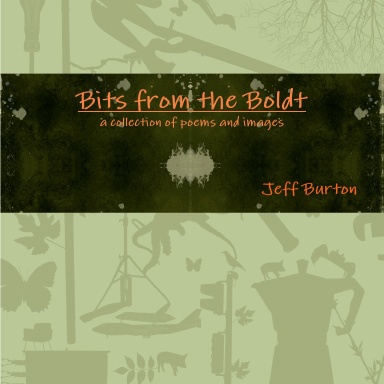 Bits from the Boldt