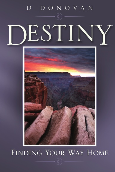 Destiny Finding Your Way Home