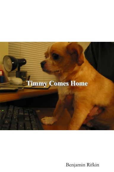 Timmy Comes Home