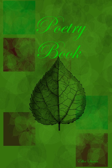 Poetry Book
