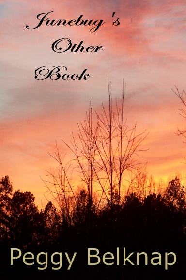 Junebug's Other Book