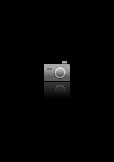 pocket