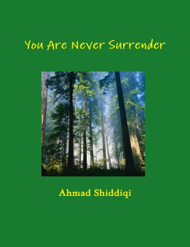 You Are Never Surrender